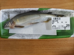 以前買った鮎が...