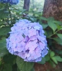 井頭公園に伺っ...