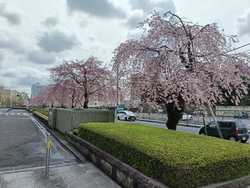 宇都宮の中心街...