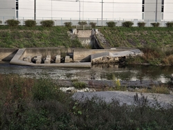 郷土鹿沼市の黒...