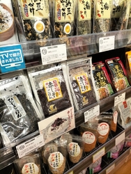 初めてゆいの杜...