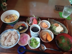 日替わりランチ...