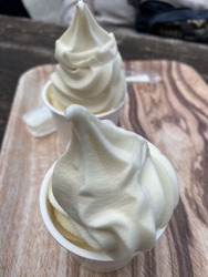 肌寒かったので...