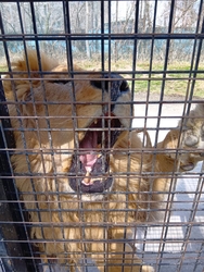 那須サファリパ...