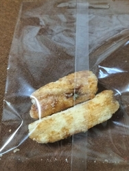 初訪問です＼(...