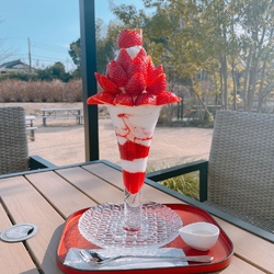 どうしてもパフ...