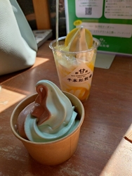 季節のソフトク...