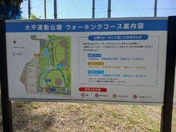 暑くなってきた...