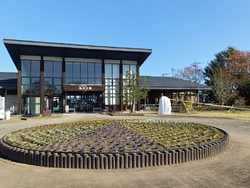 この日は近くで...