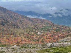 今、姥ヶ平の紅...