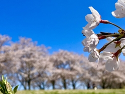 平日とは、思え...