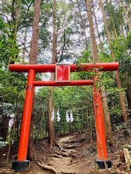 鳥居をくぐり境...