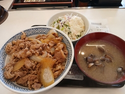 しばらくぶりに...