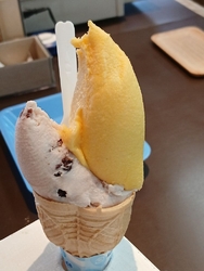 今日は温泉に入...