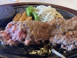 久しぶりにハン...