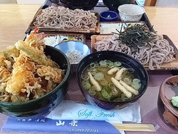 栃ナビのクチコ...