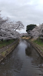 行った時は、お...