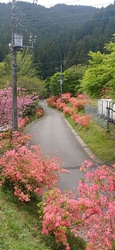 今日は、4月2...