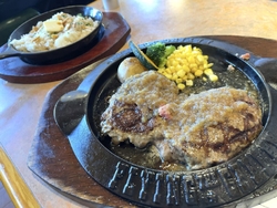 ランチで利用し...