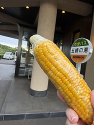 県民の日ってこ...