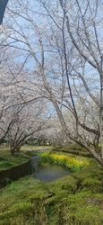 今日は、4月6...