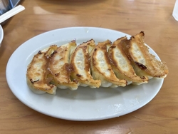 冷凍餃子も販売...