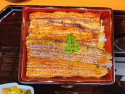 今日はひょんな...