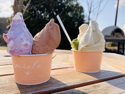 こちらのハニー...