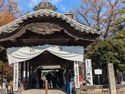 今日は大安だっ...