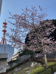 久しぶりにお参...