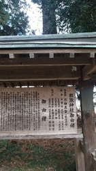 2度目の訪問で...