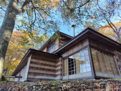 また来ちゃいま...