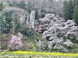 岩観音の斜面の...