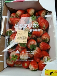 今日は、4月2...