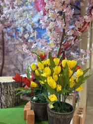 うつのみや表参...