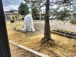 風もなくて日差...