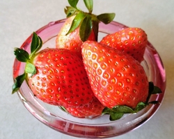 アピタ宇都宮店...