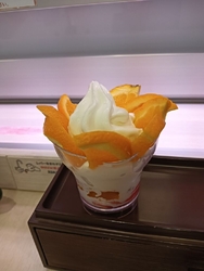 期間限定のたっ...