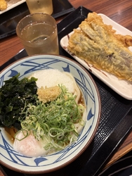 久々の丸亀うど...