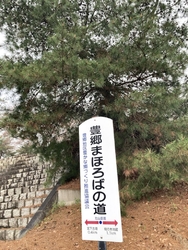 お花見ついでに...