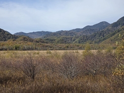 再び戦場ヶ原を...