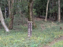 陶器市に行って...