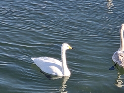 今年もすごい、...