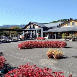 訪問は10月下...