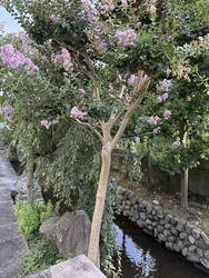 とても暑い日で...