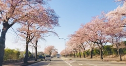 かしの森公園周...