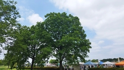 イベントが開催...