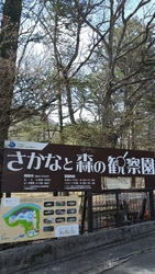 魚・草花・新緑...