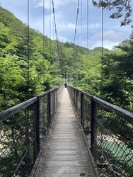 梅雨時で吊橋へ...