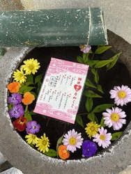 薪は背負わずス...